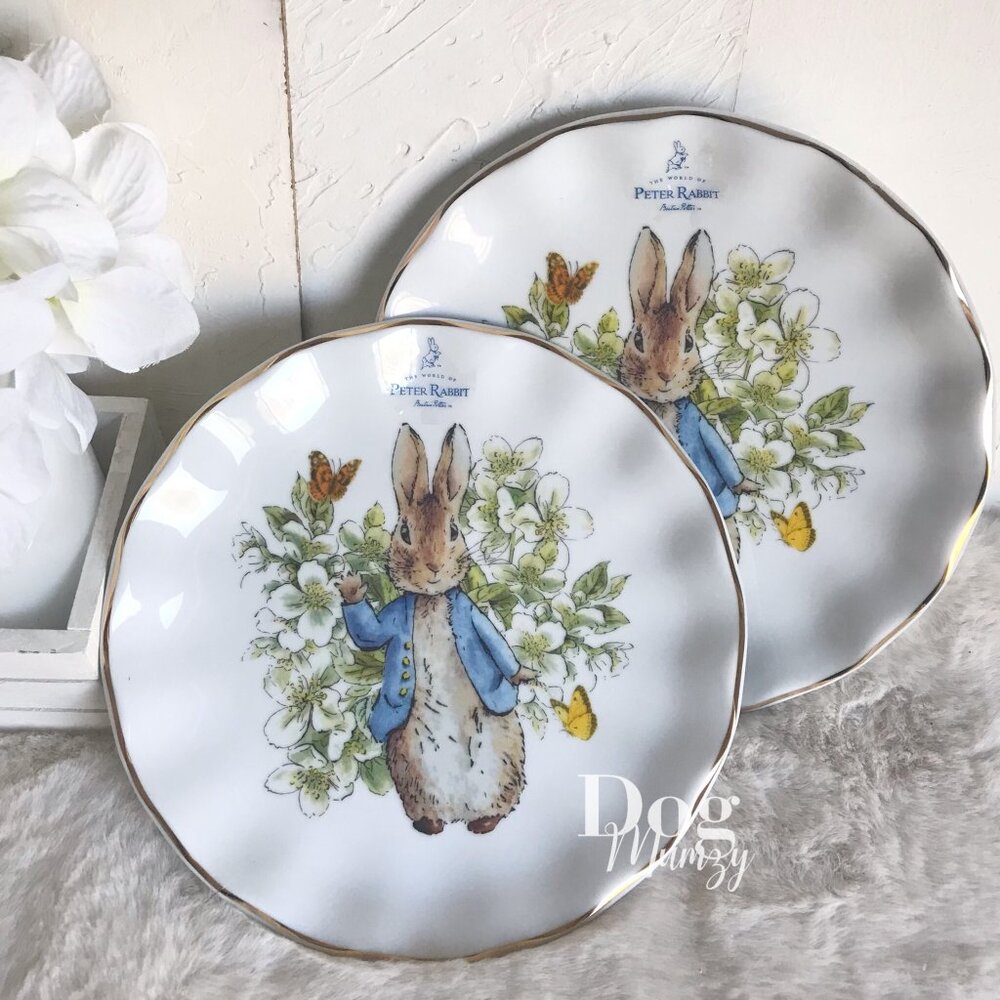 2 Peter Rabbit Classics Textured Edge Salad Plates